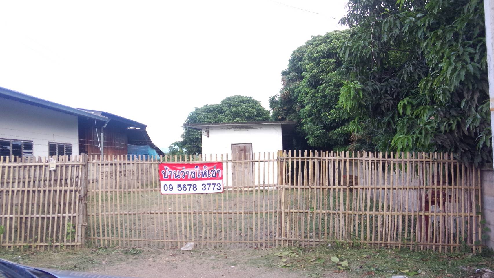 บ้านให้เช่าติดถนนหลัก ลำพูน-ลี้