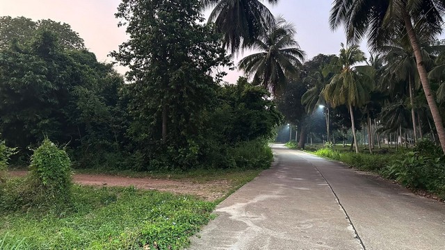 ขายที่ดินติดทะเล  ฝั่งแดง ประจวบ บางสะพานน้อย สวยมากแปลงนี้ ขายถูกสุดในย่านนี้ ไร่ละ 2.6 ล้านบาท 