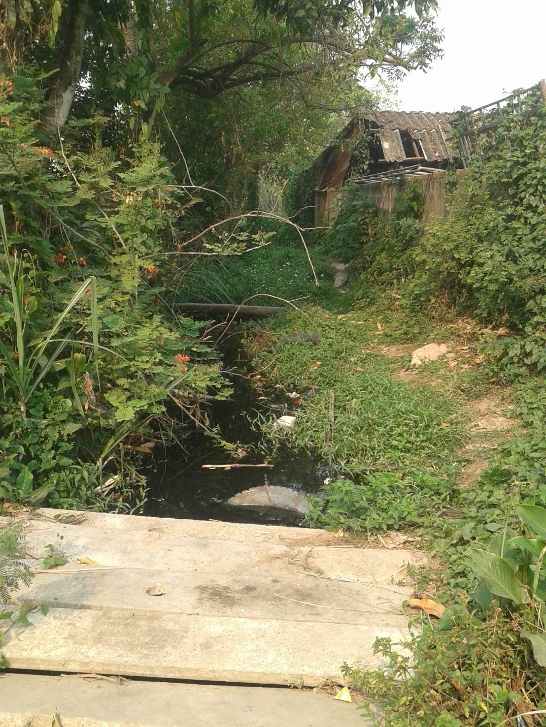 ที่ดินพร้อมสิ่งปลูกสร้าง