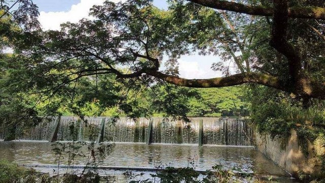 ขายที่ดินติดน้ำ แบ่งแปลงขายได้ แม่โป่ง ดอยสะเก็ด    