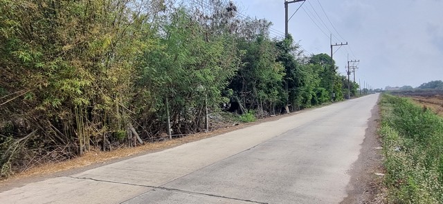 ที่ดิน 1 ไร่ ถมแล้ว ติดถนนคอนกรีต  น้ำไฟพร้อม คลอง8 บึงบอน35 หนองเสือ ปทุมธานี 