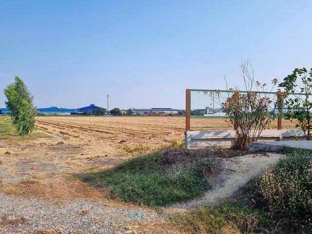 ขายที่ดิน 27 ไร่  ในเขต EEC อ.เมือง ฉะเชิงเทรา  ผังสีม่วงจุดสีขาว เหมาะสร้างโรงงาน การเดินทางสะดวก