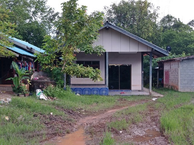 ขาย บ้านเดี่ยว 1 ชั้น ต.ภูดิน อ.เมืองกาฬสินธุ์ จ.กาฬสินธุ์  PAP8-0193
